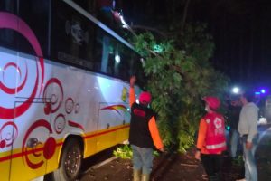 Respon Cepat Polres Batu Evakuasi Pohon Tumbang