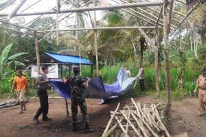 Kompak, Polisi dan Muspika Bongkar Arena Judi Sabung Ayam di Gedangan Malang