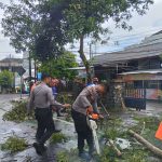 Sigap, Polisi Tangani Pohon Tumbang di Jagalan, Lalulintas Trenggalek – Ponorogo Kembali Normal