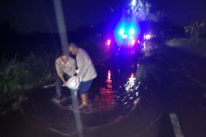 Polisi di Gresik Perbaiki Jalan Berlubang, Demi Warga Merasa Nyaman