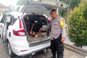 Polres Pasuruan Berhasil Amankan Pelaku Pencurian Kabel Telkom