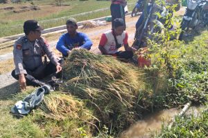 Polisi RW Patroli Dialogis dengan Petani Jaga Ketahanan Pangan di Ngawi