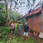 Sinergitas, Polisi bersama TNI dan Warga Tangani Dampak Puting Beliung di Bondowoso