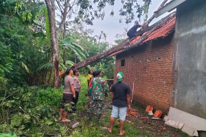Sinergitas, Polisi bersama TNI dan Warga Tangani Dampak Puting Beliung di Bondowoso