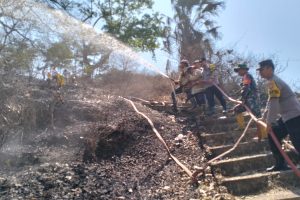 Polisi bersama Tim Gabungan dan Relawan Berhasil padamkan Kebakaran Hutan di Lumajang
