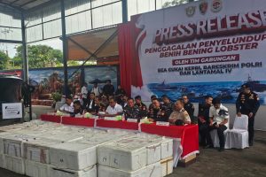 Polri Ungkap Kasus Perdagangan Ilegal 100 Ribu Benih Bening Lobster