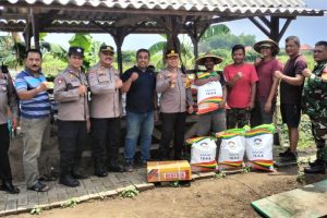 Polisi Beri Bantuan Bibit Jagung dan Pupuk di Sidoarjo, Wujudkan Ketahanan Pangan Nasional