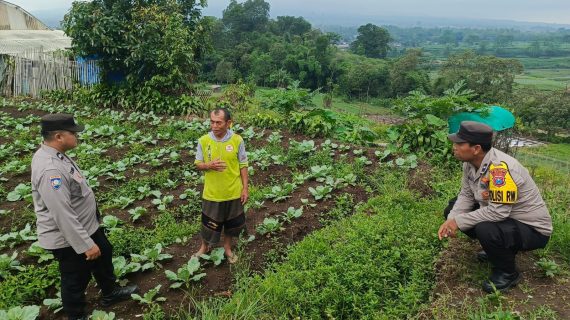 Dukung Ketahanan Pangan, Pak Bhabin Sambangi Lahan Pertanian di Desa Ngantru