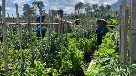 Dukung Ketahanan Pangan, Bhabinkamtibmas Batu Sambangi Lahan Tumpang Sari di Sumberejo