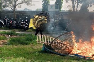 Polisi Bongkar Arena Judi Sabung Ayam di TPS Ngaglik Sidoarjo