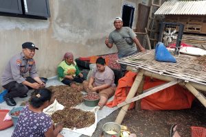 Bhabinkamtibmas Desa Torongrejo Tinjau Rumah Petani Bawang Merah, Wujud Dukungan Terhadap Ketahanan Pangan Nasional