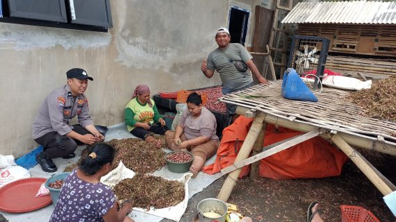 Bhabinkamtibmas Desa Torongrejo Tinjau Rumah Petani Bawang Merah, Wujud Dukungan Terhadap Ketahanan Pangan Nasional