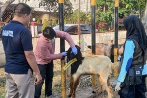 Polres Madiun Kota Datangkan Dokter Hewan Pastikan Kesehatan Hewan Kurban