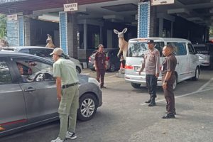 Polres Pasuruan Pertebal Pengamanan di Dua Jalur Wisata Saat Libur Panjang Idul Adha