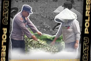 Bhabinkamtipmas Desa Torongrejo Dukung Program Ketahanan Pangan Bergizi dengan Silahturahmi dan Sambang ke Petani