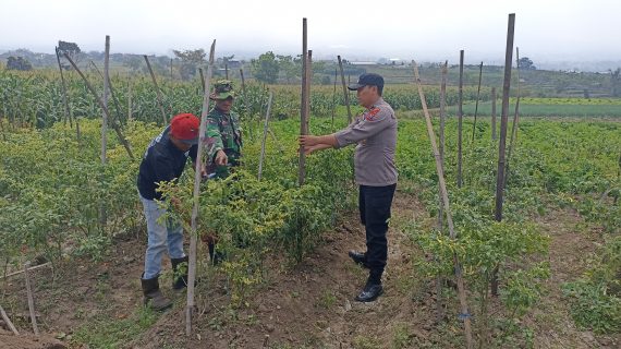 Sinergi TNI-Polri Jaga Ketahanan Pangan lewat Pendekatan ke Petani