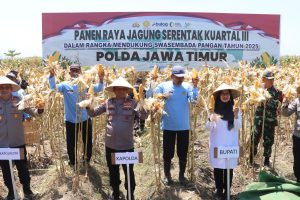 Komitmen Wujudkan Ketahanan Pangan Nasional, Kapolda Jatim Bersama Forkopimda Banyuwangi Gelar Panen Jagung Serentak 1.446 Ton