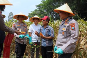Dukung Swasembada Pangan Nasional Polresta Malang Kota Targetkan Lahan 26,35 Hektar untuk Kuartal IV