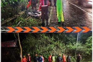 Respon Cepat Laporan Warga, Pohon Tumbang di Pujon Ditangani Tuntas