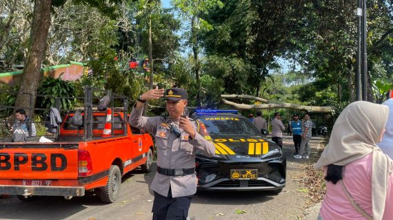 Tim Gabungan Evakuasi Pohon Tumbang yang Tutup Jalan di Batu