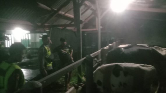 Bhabinkamtibmas Laksanakan Patroli Dialogis, Sampaikan Himbauan Kamtibmas dan Antisipasi PMK