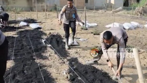 Taruna Akpol Pulihkan Ketahanan Pangan dan UMKM Warga Aceh Tamiang Lewat Pekarangan Pangan Lestari