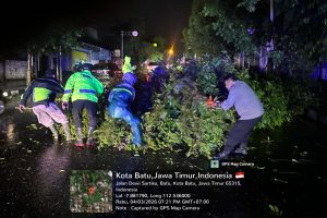 Respon Cepat Polsek Batu Tangani Pohon Tumbang di Sejumlah Titik Wilayah Kota Batu Akibat Hujan Deras dan Angin Kencang