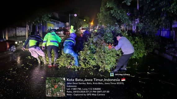 Respon Cepat Polsek Batu Tangani Pohon Tumbang di Sejumlah Titik Wilayah Kota Batu Akibat Hujan Deras dan Angin Kencang