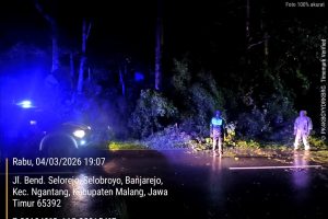 Respon Cepat Polsek Ngantang, Tangani Pohon Tumbang di Jalan Provinsi