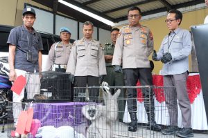 Polresta Sidoarjo Ungkap Perdagangan Ilegal Satwa Lindung Jaringan Internasional