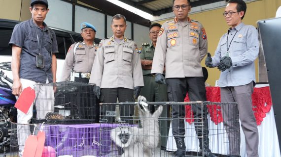 Polresta Sidoarjo Ungkap Perdagangan Ilegal Satwa Lindung Jaringan Internasional