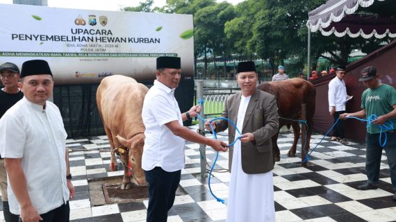 Iduladha 1447 H Polda Jatim Salurkan Ratusan Hewan Kurban untuk Masyarakat