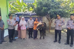 Kapolres Jombang Serahkan Sapi Kurban dari Kapolda Jatim untuk Dua Ponpes