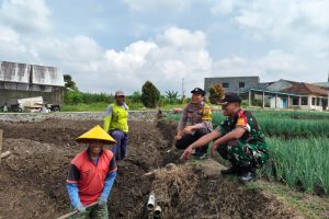 Sinergi TNI–Polri Sambangi Petani, Perkuat Kamtibmas dan Dukung Ketahanan Pangan Nasional