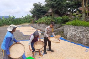 Dari Ladang untuk Negeri, Bhabinkamtibmas Turun Tangan Dukung Ketahanan Pangan
