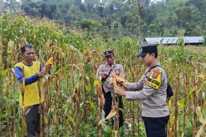 Polres Ponorogo Sahabat Petani, Dampingi Warga Wujudkan Swasembada Pangan