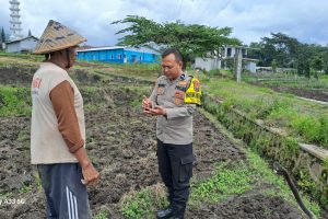 Bhabinkamtibmas Dampingi Petani, Wujud Nyata Dukungan Ketahanan Pangan