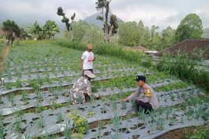 Sambang Petani, Bhabinkamtibmas Bendosari Serap Aspirasi Petani