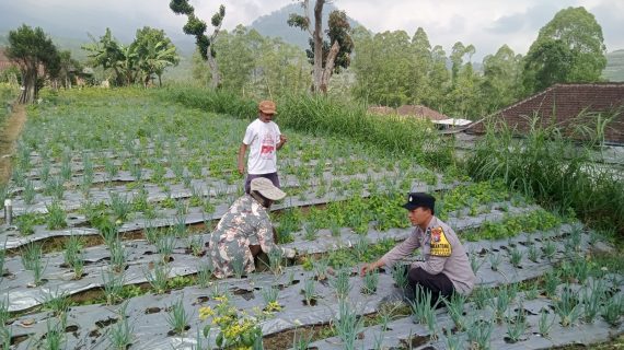 Sambang Petani, Bhabinkamtibmas Bendosari Serap Aspirasi Petani