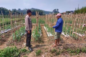 Bhabinkamtibmas Turun ke Lahan, Serap Aspirasi Petani Demi Ketahanan Pangan