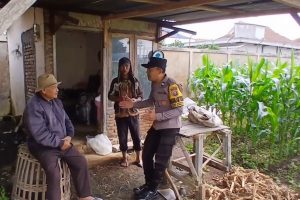 Bhabinkamtibmas Perkuat Ketahanan Pangan, Sambangi Petani Jagung dan Serap Aspirasi di Lahan Pertanian