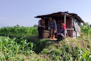 Bhabinkamtibmas Giripurno Sambangi Lahan Jagung, Perkuat Sinergi Petani untuk Ketahanan Pangan