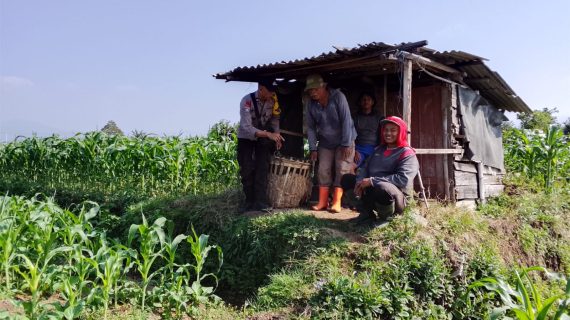 Bhabinkamtibmas Giripurno Sambangi Lahan Jagung, Perkuat Sinergi Petani untuk Ketahanan Pangan