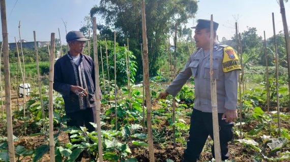 Dukung Ketahanan Pangan, Bhabinkamtibmas Tlekung Sambangi Petani Tumpangsari untuk Tingkatkan Ekonomi Keluarga