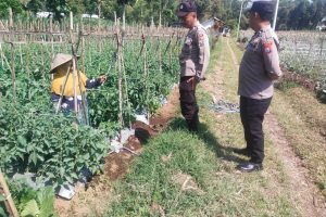 Bhabinkamtibmas Desa Pandesari Turun ke Lahan, Serap Aspirasi Petani dan Perkuat Ketahanan Pangan