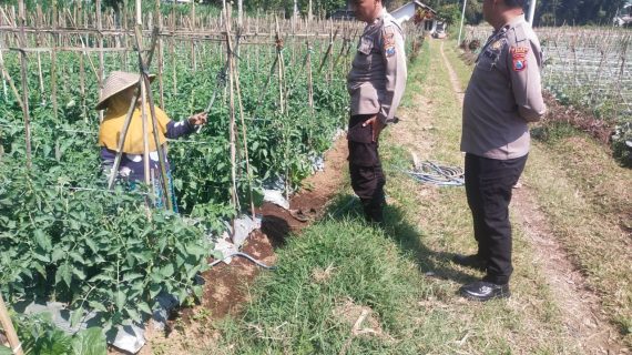 Bhabinkamtibmas Desa Pandesari Turun ke Lahan, Serap Aspirasi Petani dan Perkuat Ketahanan Pangan