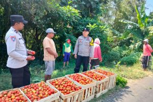 Dukung Ketahanan Pangan P2L, Bhabinkamtibmas Beji Serap Aspirasi Petani Terkait Maraknya Pencurian Hasil Pertanian