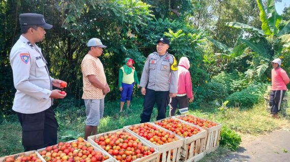Dukung Ketahanan Pangan P2L, Bhabinkamtibmas Beji Serap Aspirasi Petani Terkait Maraknya Pencurian Hasil Pertanian