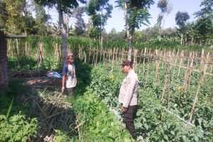 Bhabinkamtibmas Tawangsari Sambang Petani, Perkuat Program P2L dan Dukung Ketahanan Pangan