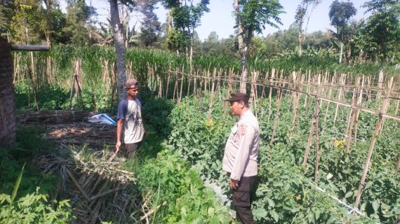 Bhabinkamtibmas Tawangsari Sambang Petani, Perkuat Program P2L dan Dukung Ketahanan Pangan